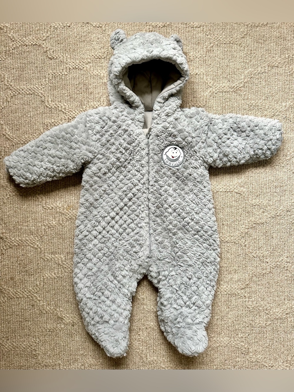 Cozy Gray Plush Teddy One-Piece Footie with Hood - Up to 26”